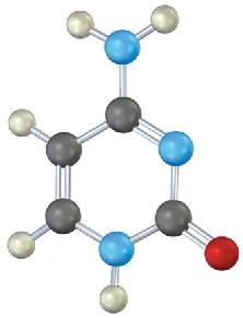 The ball-and-stick model of Cytosine. It is a pyrimidine base with one ring to which one oxygen atom is attached.