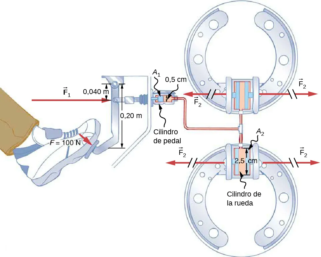 La figura es un dibujo esquemático de un sistema de freno hidráulico. El pie se aplica al pedal de freno con la fuerza F1. Se transmite al cilindro del pedal con el área A1 de 0,5 cm. El cilindro del pedal está conectado al sistema hidráulico con dos cilindros de rueda con un área A2 de 2,5 cm. Los cilindros de las ruedas crean la fuerza de salida F2.