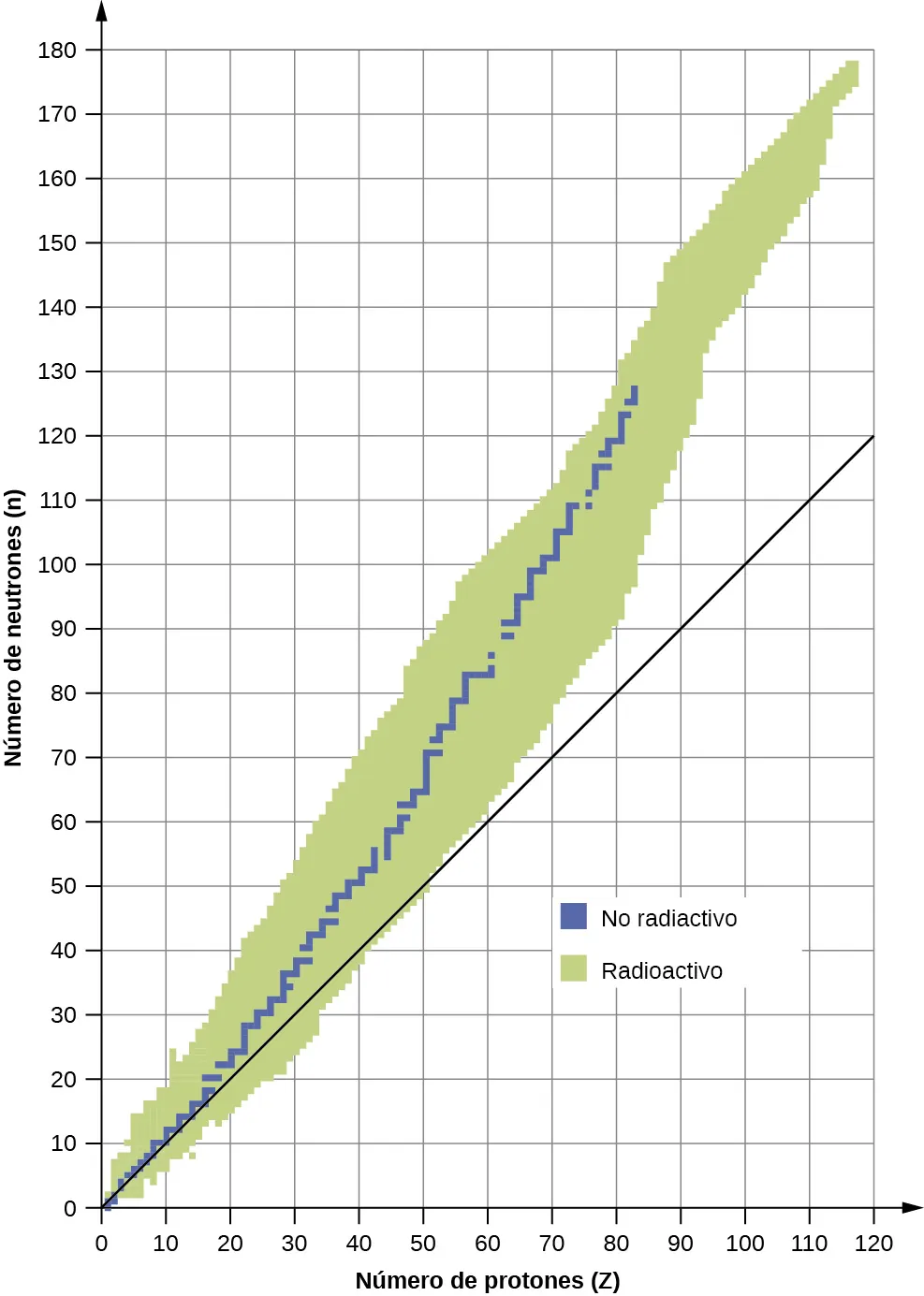 Se muestra un gráfico en el que el eje x está marcado como "número de neutrones (n)" y tiene valores de 0 a 180 en incrementos de 10. El eje y está marcado como "número de protones (Z)" y tiene valores de 0 a 120 en incrementos de 10. Una banda sombreada de color verde de anchura variable, marcada como "radiactivo", se extiende desde el punto 0 en ambos ejes hasta 178 en el eje y, además de 118 en el eje x, de forma lineal. La anchura de esta banda varía de 8 a 18 unidades de ancho según las medidas del eje x. Una línea azul en forma de zigzag atraviesa el centro de la banda sombreada y se detiene en 128 en el eje y, así como en 82 en el eje x. Esta línea está marcada como "no radiactivo". Una línea sólida, negra y sin marcar se extiende desde el punto 0, 0 hasta el 120, 120 de forma lineal.