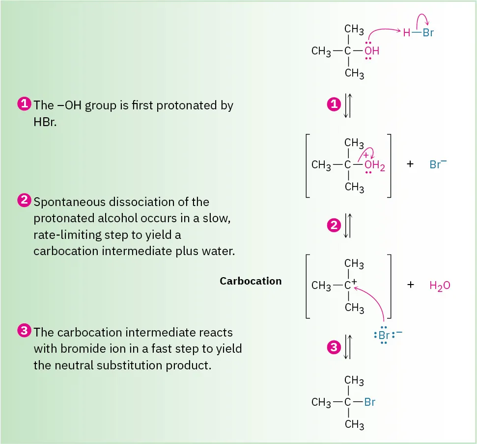 Mechanism of S N 1 between t-butyl alcohol and H Br. Alcohol is protonated, water leaves to form carbocation, bromide quenches carbocation.