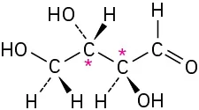 The wedge-dash structure of threose. C2 and C3 are labeled with asterisks.