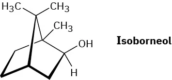 The structure of Isoborneol. It is a norbornane with three methyl groups, a hydroxyl group, and a hydrogen atom.