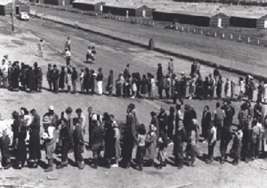 An image of a long line of people that snakes back and forth.