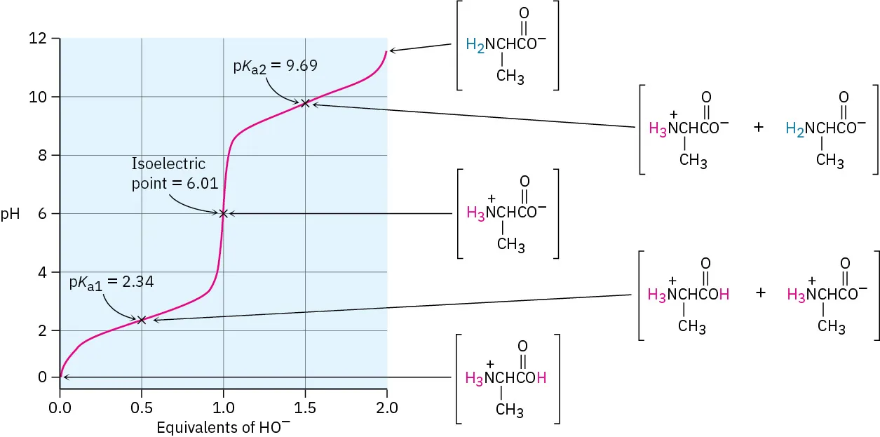 The figure shows the titration curve for alanine. The x-axis represents equivalents of hydroxide ion and the y-axis represents the pH. It shows isoelectric point and two dissociation constant values.