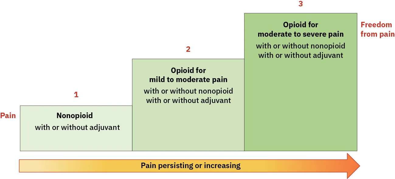 A representation of the WHO pain ladder is shown. It includes three bars of increasing size from left to right with the following text starting on the left: “1 nonopioid: with or without adjuvant,” “2 opioid for mild to moderate pain: with or without nonopioid, with or without adjuvant,” and “3 opioid for moderate to severe pain: with or without nonopioid, with or without adjuvant.” Below these bars is an arrow going from left to right labeled “pain persisting or increasing.”
