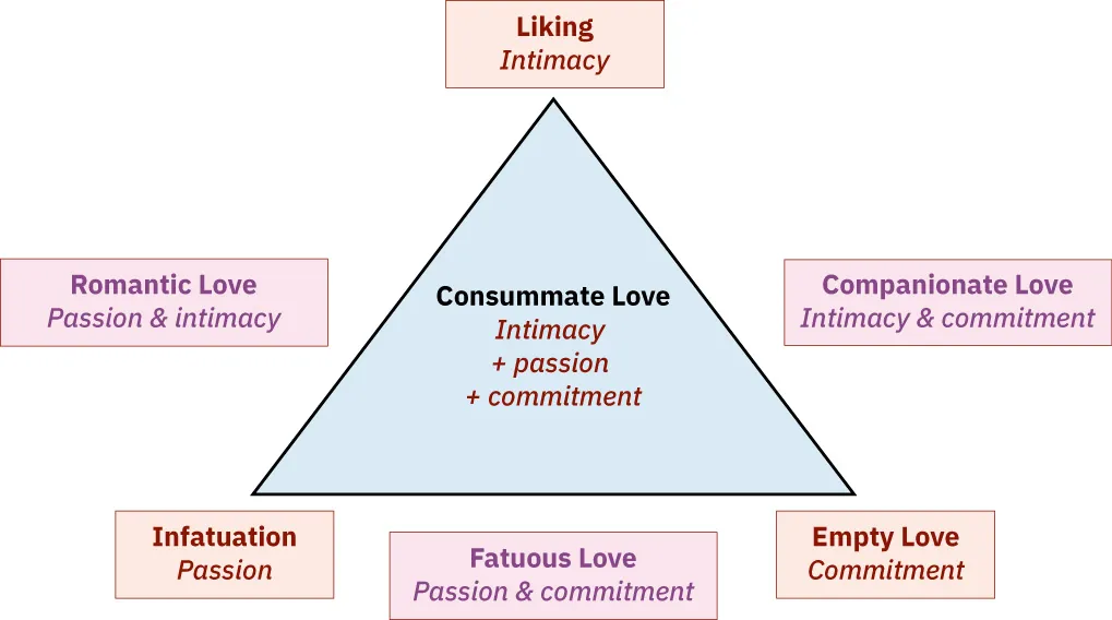 Sternberg's triangular theory of love: Liking (Intimacy), Companionate love (intimacy + commitment), Empty love (commitment), Fatuous love (passion + commitment), Infatuation (passion), Romantic love (passion + intimacy), and Consummate love (intimacy + passion + commitment).