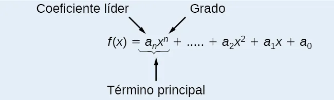 Diagrama que indica cuáles son los componentes del término principal de una función. El coeficiente principal es a_n y el grado de la variable es el exponente en x^n. Tanto el coeficiente principal como la variable con el grado más alto constituyen el término principal. Así que la función se parece a f(x)=a_nx^n +...+a_2x^2+a_1x+a_0.