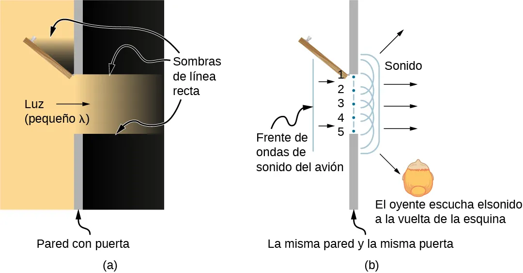 La figura a es una vista desde arriba de un diagrama de una pared en la que hay una puerta abierta. La pared se extiende desde la parte inferior del diagrama hasta la parte superior, y la puerta forma un hueco en la pared. La puerta se abre hacia la izquierda y se sitúa a unos cuarenta y cinco grados de la pared sobre la que pivota. La luz, marcada como lambda minúscula, incide desde el lado izquierdo de la pared. Parte de la luz pasa a través de la abertura de la puerta. La luz que pasa a través de la puerta tiene bordes afilados, que corresponden a sombras de bordes rectos por encima y por debajo. La puerta abierta también crea una sombra de borde recto entre ella y la pared. La parte b de la figura muestra un diagrama similar. Una línea paralela a la pared se aproxima a ésta desde la izquierda y se marca como frente de ondas sonoras planas. Hay cinco puntos espaciados uniformemente a través de la puerta abierta, marcados del uno al cinco. A la derecha de estos puntos aparecen semicírculos que entran en la habitación a la derecha de la pared. Entre todos estos semicírculos hay una línea que tiene la forma de cierre de corchetes con esquinas redondeadas. Esta línea está marcada como sonido. Se muestran cinco rayos que apuntan desde la línea de corchetes hacia la habitación a la derecha de la pared. Tres de estos rayos apuntan horizontalmente hacia la derecha, un rayo apunta hacia arriba y hacia la derecha, y el último rayo apunta hacia abajo y hacia la derecha. Este último rayo apunta a la oreja de una persona que vemos desde arriba y que está marcada como oyente que escucha el sonido a la vuelta de la esquina.