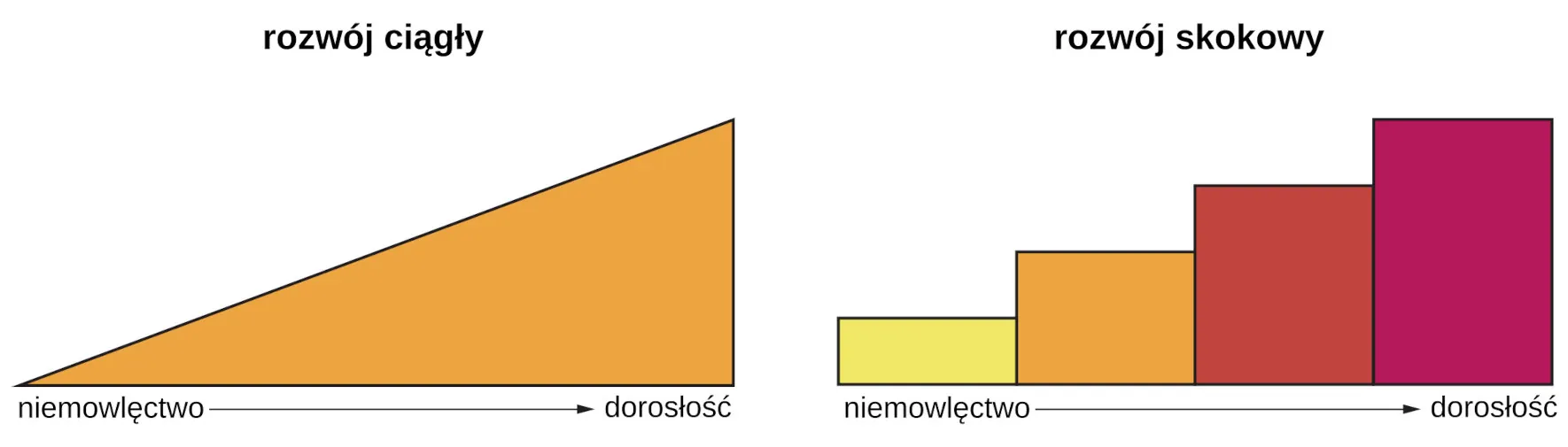 Continuous and Discontinuous development are shown side by side using two separate pictures. The first picture is a triangle labeled “Continuous Development” which slopes upward from Infancy to Adulthood in a straight line. The second picture is 4 bars side by side labeled “Discontinuous Development” which get higher from Infancy to Adulthood. These bars resemble a staircase.