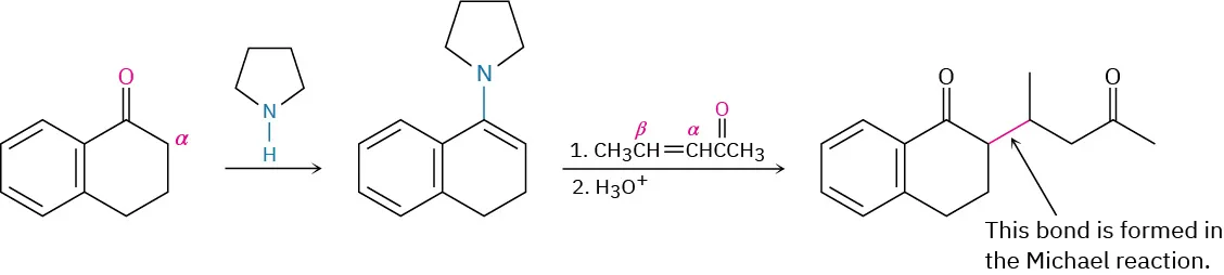 The reaction of ketone with pyrrolidine forms an intermediate that undergoes Michael addition with pent-3-en-2one followed by hydronium to give a product with an extended side chain.