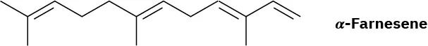 Twelve-carbon chain with bonds (from left) as: single, double, single, single, single, double, single, single, double, single, double. Methyl groups at the second, sixth, and tenth carbons from the left.