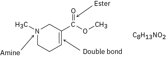 The chemical structure of arecoline that has two functional groups, amine and a double bond.