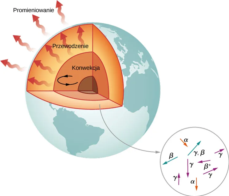Przekrój Ziemi z przedstawionymi różnymi warstwami. Okrężna strzałka opisana jako konwekcja umieszczona jest w pobliżu jądra. Strzałki wychodzące z tego miejsca do zewnątrz opisane są: przewodzenie. Strzałki skierowane do zewnątrz, umieszczone na zewnątrz Ziemi opisane są: promieniowanie. Wycinek wnętrza Ziemi pokazano jako koło zawierające strzałki reprezentujące promieniowanie alfa, beta i gamma, skierowane we wszystkich kierunkach.