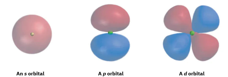 A characteristic s, p, and d orbital with the nucleus at the center of each. Two cloverleaf-shaped lobes and four cloverleaf-shaped lobes form the p and d orbitals, respectively.