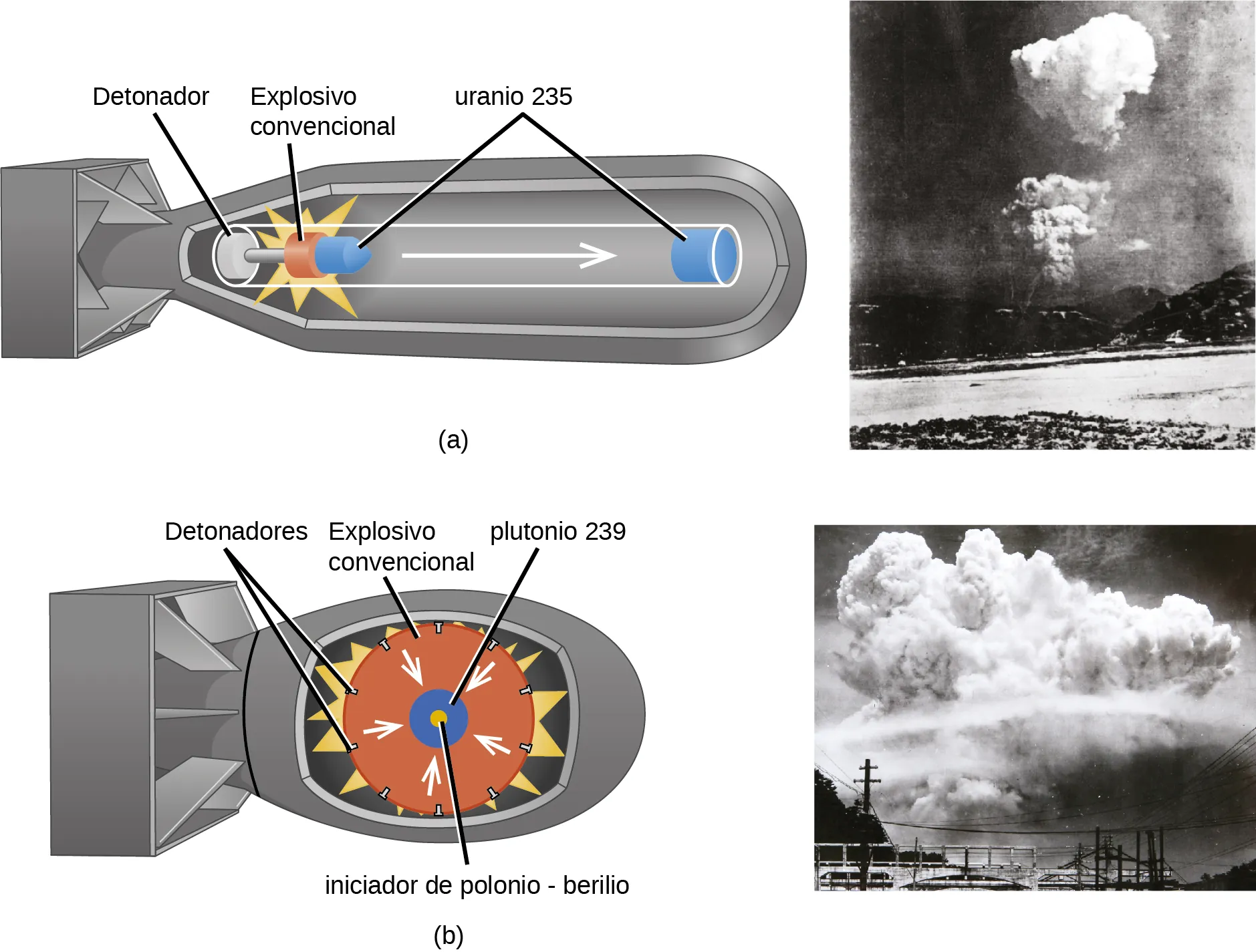 Se muestran dos diagramas, cada uno a la izquierda de una foto, y marcados como "a" y "b". El diagrama a muestra la carcasa exterior de una bomba que tiene una forma larga y tubular con una cola cuadrada. Los componentes del proyectil muestran un tubo con un disco blanco marcado como "detonador" a la izquierda, un disco naranja con una estrella amarilla brillante, dibujada alrededor, marcado como "explosivo convencional" en el centro y una flecha hacia la derecha que lleva a un disco azul en la nariz de la bomba marcado como "uranio 235". Un pequeño cono azul junto al disco naranja comparte la marcación de "uranio 235". La foto en blanco y negro junto a este diagrama muestra una toma lejana de una nube creciente sobre un paisaje. El diagrama b muestra la carcasa exterior de una bomba que tiene una forma corta y redondeada con una cola cuadrada. Los componentes del proyectil muestran un gran círculo naranja marcado como "explosivo convencional" con una serie de puntos negros alrededor de su borde, marcados como "detonadores", y una ráfaga de estrellas amarillas detrás. Las flechas blancas se dirigen desde el borde exterior del círculo naranja hasta un círculo azul en el centro con un núcleo amarillo. El círculo azul está marcado como "plutonio 239" mientras que el núcleo amarillo está marcado como "berilio, guion, iniciador de polonio". La foto en blanco y negro junto a este diagrama muestra una toma lejana de una gigantesca nube ascendente sobre un paisaje.