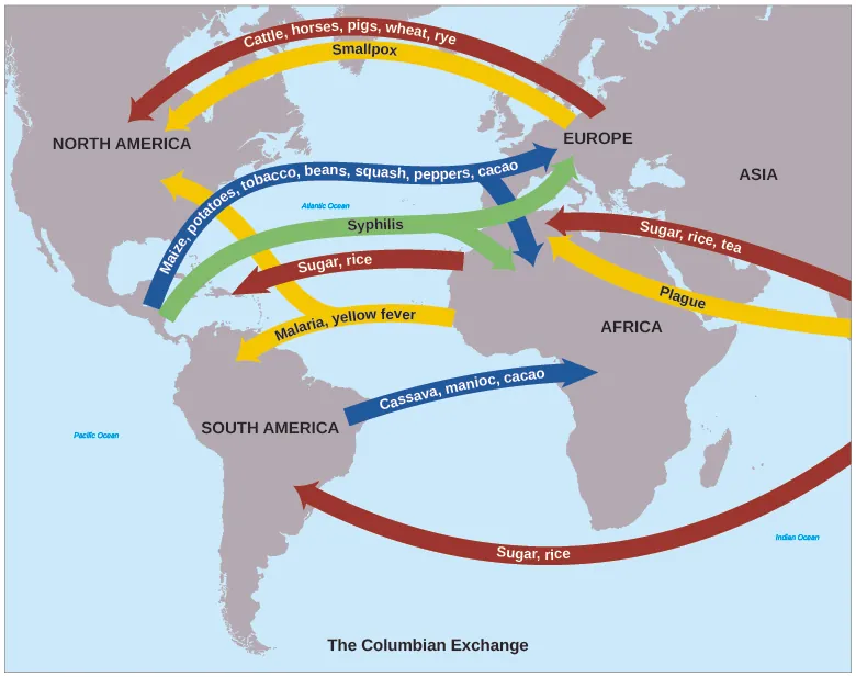 A map shows the “Columbian Exchange” of goods and diseases. Goods include crops such as maize, potatoes, tobacco, beans, squash, peppers, cacao, cassava, and manioc traveling east as well as rye, wheat, rice, sugar, and tea traveling west. Animals such as cattle, horses, and pigs traveled westward. Diseases include syphilis, malaria, smallpox, yellow fever, and plague.