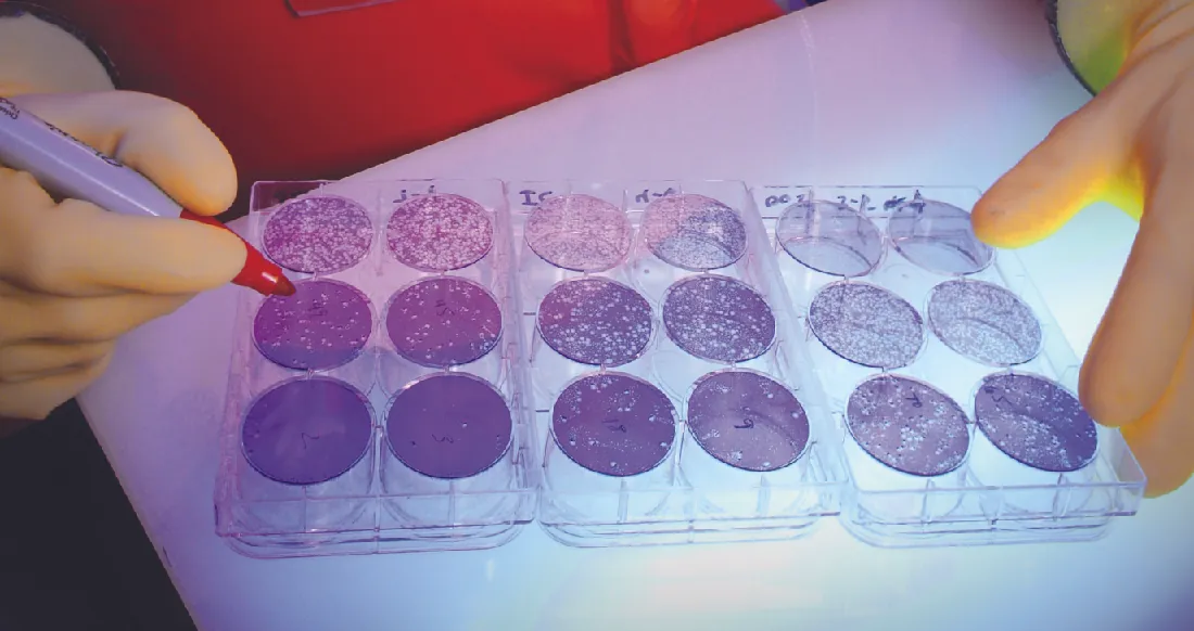 A photograph of wells showing a smooth purple background with white spots.