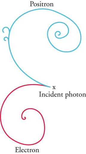 The image shows two spirals originating from the same spot, with one directed upward and one directed downward. The spot from which the spirals originate is labeled ‘incident photon.’ The upward spiral is the positron, while the downward spiral is labeled ‘electron.’