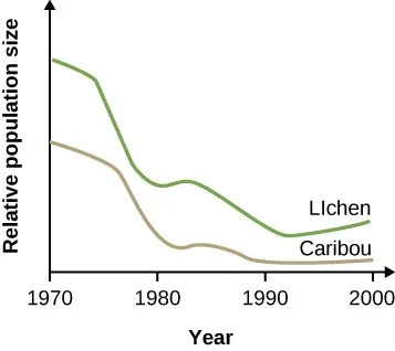 Graph with x–axis labeled “Year” with domain from 1970 to 200 and y–axis “Relative Population Size” with no defined range. The lichen population is shown using a solid line and the caribou population using a dashed line. The lichen population starts at almost twice the caribou population, and is shown on a decline until 1992, when it begins to rise slowly. The dashed line follows a similar path, staying below the solid line, though they almost converge in 1977. The dashed line dropps more suddenly after that point, and runs only slightly above and parallel to the x–axis from 1990 onward, with a slight increase occurring in the late 1990s.