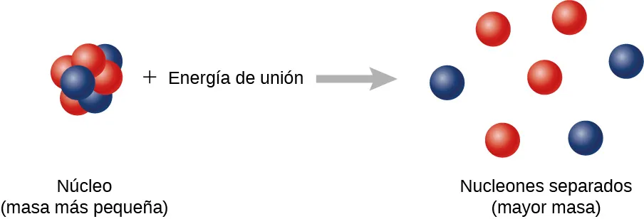 La imagen muestra una reacción. El lado izquierdo muestra un núcleo más la energía de enlace. Este núcleo es un grupo de protones y neutrones estrechamente compactados y está marcado como de menor masa. En el lado derecho hay un núcleo con protones y neutrones poco compactados, marcados como nucleones separados, mayor masa.