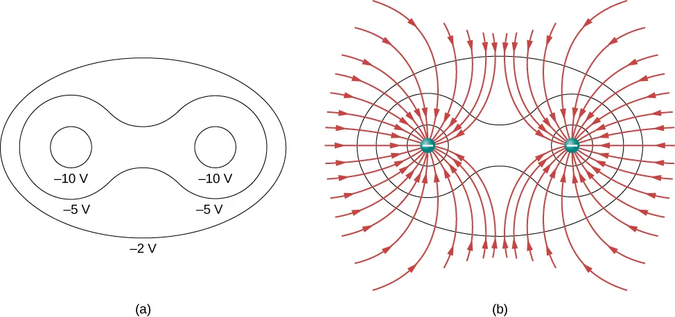 Part a shows equipotential lines around two charges and part b shows two negative charges and their electric field lines.