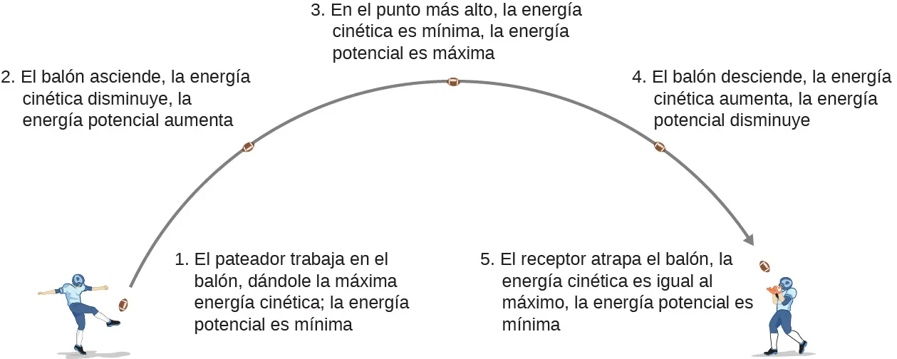 Ilustración de la trayectoria y energía de un balón de fútbol. El pateador patea el balón, realizando un trabajo sobre él y dándole la máxima energía cinética. La energía potencial es mínima. Este es el punto uno. Al subir, en el punto dos, la energía cinética del balón disminuye y su energía potencial también. En el punto más alto, el punto tres, la energía cinética del balón es mínima y su energía potencial es máxima. A medida que el balón desciende, punto cuatro, la energía cinética aumenta y la energía potencial disminuye. El receptor atrapa el balón a la misma altura del suelo a la que fue pateado, en el punto cinco. La energía cinética es máxima, la energía potencial es mínima.