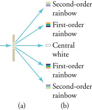 (a) Drawing of a vertical screen with five equally spaced horizontal slits that take up the middle third. A single blue arrow to the left of the barrier point to the right. Five blue arrows from the five slits point to the right, to five small diagrams arranged vertically. (b) Five small diagrams arranged vertically. The middle diagram is a white rectangle. It is labeled “Central white.” Above it is a square with colored bands; from the top, they are red, yellow, green, blue, and purple. The square is labeled “First-order rainbow.” Above the first rainbow is another small square, with the same colors as the one below, but fainter. It is labeled “Second-order rainbow.” Below the central white square is another square with colored bands. They are purple, blue, green, yellow, and red (the opposite order from the upper rainbows), and the square is labeled “First-order rainbow.” The lowest of the five diagrams is a fainter version of the square above it. It is labeled “Second-order rainbow.”