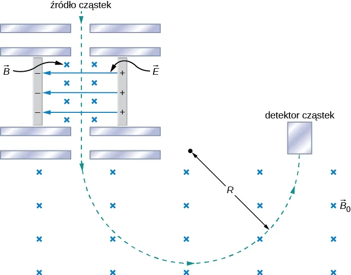 Schemat spektrometru masowego Bainbridge'a. Naładowane cząstki poruszają się w dół do obszaru z polem elektrycznym E wskazującym w lewo i polem magnetycznym B skierowanym za płaszczyznę rysunku. Ścieżka cząstki przedłużona jest aż do linii gdzie znajdzie się w regionie bez pola elektrycznego. Pole magnetyczne jest jednorodne, o wartości B ze znakiem 0. Ścieżka cząstki stanowi wycinek okręgu o promieniu R, po którym cząstka porusza się przeciwnie do kierunku ruchu wskazówek zegara aż do miejsca trafienia w detektor cząstek.