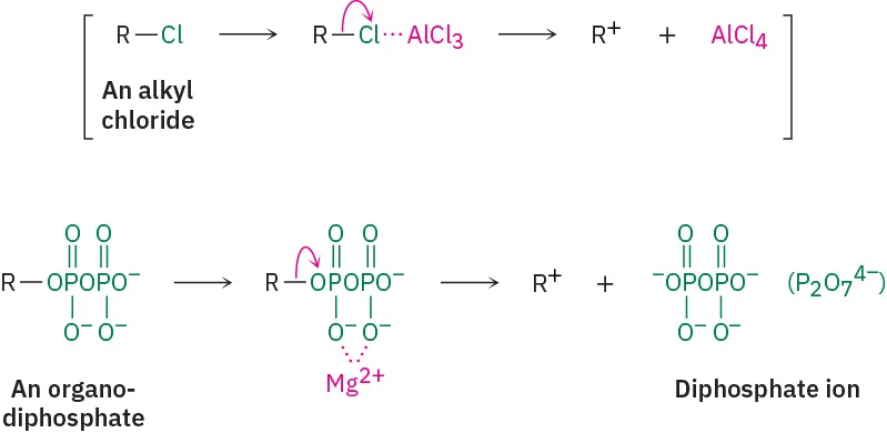 The first reaction shows an alkyl chloride, r single bonded to C l) forms R plus and an A l C l 4 anion. The second reaction shows an organodiphosphate with an R group forming R plus and a diphosphate anion.