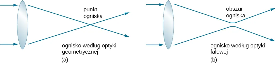 Figury a i b przedstawiają dwa promienie wchodzące do soczewki z lewej strony. Na rysunku a promienie pojawiają się po prawej stronie rysunku i przecinają się wzajemnie w ognisku. Ognisko jest podpisane ognisko według optyki geometrycznej. Na rysunku b promienie zbliżają się do siebie, ale się nie przecinają. Region, w którym promienie znajdują się najbliżej siebie jest opisany jako obszar ogniska. Z tego punktu promienie oddalają się od siebie. Punkt ten jest opisany jako ognisko wedle optyki geometrycznej.
