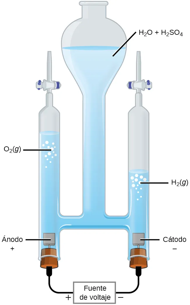 Esta figura muestra un aparato utilizado para la electrólisis. Una cámara central con la parte superior abierta tiene una columna vertical que se extiende por debajo y que está casi llena de un líquido claro e incoloro, que está marcado como "H subíndice 2 O más H subíndice 2 S O subíndice 4". Un tubo horizontal en el aparato conecta la región central con las columnas verticales a la izquierda y a la derecha, cada una de las cuales tiene una válvula o llave de paso en la parte superior y un fondo taponado. A la izquierda, el tapón del fondo tiene un pequeño cuadrado marrón conectado justo encima en el líquido. El cuadrado está marcado como "Ánodo más". Un cable negro se extiende desde el tapón de la izquierda hasta un rectángulo marcado como "Fuente de voltaje" y de ahí hasta el tapón de la derecha. El lado izquierdo del rectángulo está marcado con un símbolo de más y el lado derecho con un signo de menos. El tapón de la derecha también tiene conectado un cuadrado marrón que está en el líquido del aparato. Este cuadrado está marcado como "Cátodo negativo". El nivel de la solución en el brazo o tubo izquierdo del aparato es significativamente mayor que el nivel del brazo derecho. Las burbujas están presentes cerca de la superficie del líquido en cada lado del aparato, con las burbujas marcadas como "O subíndice 2 (g)" a la izquierda y "H subíndice 2 (g)" a la derecha.