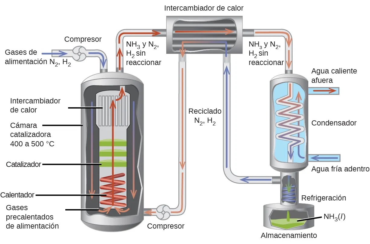 Se muestra un diagrama compuesto por tres secciones principales. La primera sección muestra un tubo de admisión etiquetado con flechas azules y los términos "N subíndice 2, H subíndice 2, gases de alimentación" y "Compresor". Este tubo conduce a una gran cámara con una turbina en la parte superior y una bobina en la parte inferior. De arriba a abajo, las secciones de esta cámara están etiquetadas como "Intercambiador de calor", "Cámara de catalizadores de 400 a 500 grados C", "Catalizador", "Calentador" y "Gases de alimentación precalentados". Un tubo sale de la parte superior de esta cámara con flechas rojas y está etiquetado como "N H subíndice 3 y N subíndice 2 sin reaccionar, H subíndice 2", mientras que otro tubo sale del fondo de la cámara y dice "Compresor" y tiene flechas naranjas que lo atraviesan. Estos dos tubos están conectados a un recipiente cuadrado que etiquetado como "Intercambiador de calor" y tiene flechas rojas que entran en él desde el tubo superior, y flechas naranjas que salen de él hacia el tubo inferior y hacia un tercer sistema. Los tubos que entran y salen del intercambiador de calor están etiquetados como "N reciclado subíndice 2, H subíndice 2". El tercer sistema muestra un contenedor con un tubo interior en forma de zig-zag que se asienta sobre una base que contiene un tubo enrollado en un tanque de almacenamiento. Desde la parte superior de la imagen hasta la parte inferior están los términos, "N H subíndice 3 y N subíndice 2 sin reaccionar, H subíndice 2", "Condensador", "Entrada de agua fría", "Refrigeración", "N H subíndice 3 ( l )" y "Almacenamiento" Las flechas azules se alejan de la base de este sistema y se dirigen al segundo sistema, mientras que otras flechas azules se dirigen al sistema desde el lado derecho del diagrama y vuelven a salir de la misma cámara.