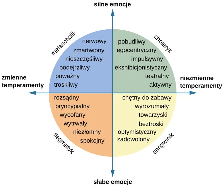 A circle is divided vertically and horizontally into four sections by lines with arrows at the ends. Clockwise from the top, the arrows are labeled “Strong Emotions,” “Changeable Temperaments,” “Weak Emotions,” and “Unchangeable Temperaments.” The arcs around the perimeter of the circle, clockwise beginning with the top right segment are labeled “Choleric,” “Sanguine,” “Phlegmatic,” and “Melancholic.” The sections inside each arc contain descriptive words. Inside the Choleric arc are the words “excitable, egocentric, exhibitionist, impulsive, histrionic, and active.” Inside the Sanguine arc are the words “playful, easygoing, sociable, carefree, hopeful, and contented.” Inside the Phlegmatic arc are the words “reasonable, principled, controlled, persistent, steadfast, and calm.” Inside the Melancholic arc are the words “anxious, worried, unhappy, suspicious, serious, and thoughtful.”
