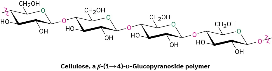 The structure of cellulose, which is a beta-1,4-D-glucopyranoside polymer.