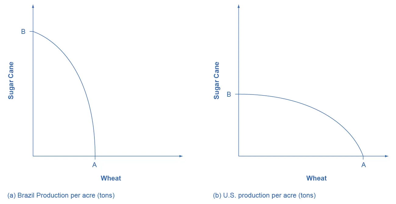 This graph shows two images. Both images have y-axes labeled “Sugar Cane” and x-axes labeled “Wheat.” In image (a), Brazil’s Sugar Cane production is nearly double the production of its wheat. In image (b), the U.S.’s Sugar Cane production is nearly half the production of its wheat.