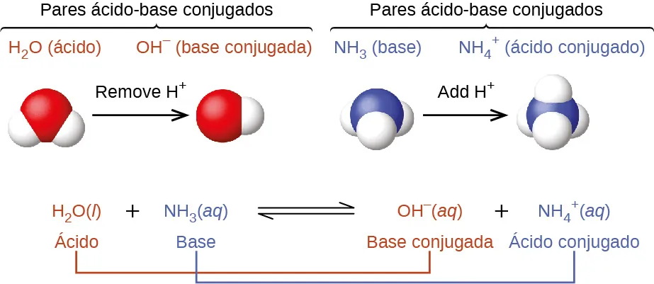 Esta figura tiene dos filas. En ambas filas se muestra una reacción química. En la primera, se proporcionan fórmulas estructurales. En este modelo, en rojo, un átomo de H está conectado a un átomo de F con un enlace simple. El átomo de F tiene pares de puntos de electrones en la parte superior, derecha e inferior. A esto le sigue un signo de suma, que es seguido en azul por un átomo de O que tiene enlaces simples con átomos de H por encima y a la derecha. El átomo de O tiene pares de puntos de electrones en sus lados izquierdo e inferior. Sigue una flecha doble. A la derecha, entre paréntesis, hay una estructura con un átomo de O central en azul que tiene enlaces simples con átomos de H azules por encima y a la derecha. Un par de puntos de electrones azules se encuentran en la parte inferior del átomo de O. A la izquierda del átomo de O azul, un átomo de H rojo tiene un enlace simple. A continuación aparece un signo de suma y un átomo de F en rojo con pares de puntos de electrones arriba, a la derecha, abajo y a la izquierda. Este átomo también tiene un superíndice de signo negativo. La reacción está escrita en forma simbólica a continuación. El H F está etiquetado en rojo abajo como "Ácido". A esto le sigue el signo más H subíndice 2 O, que está etiquetado en azul abajo como "Base". Sigue una flecha de doble punta. A la derecha aparece H subíndice 3 O superíndice signo más, que está etiquetado en azul abajo como "Ácido". A esto le sigue el signo más y F superíndice negativo. La etiqueta de abajo en rojo dice: "Base".