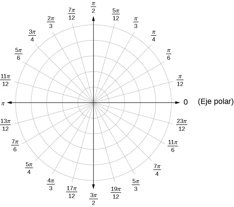 Se dibuja una serie de círculos concéntricos con radios que indican diferentes valores entre 0 y 2π en incrementos de π/12. El primer cuadrante comienza con 0 donde estaría el eje x, luego el siguiente radio está marcado con π/12, luego π/6, π/4, π/3, 5π/12, π/2, y así sucesivamente en el segundo, tercer y cuarto cuadrante. El eje polar se observa cerca de la antigua línea del eje x.