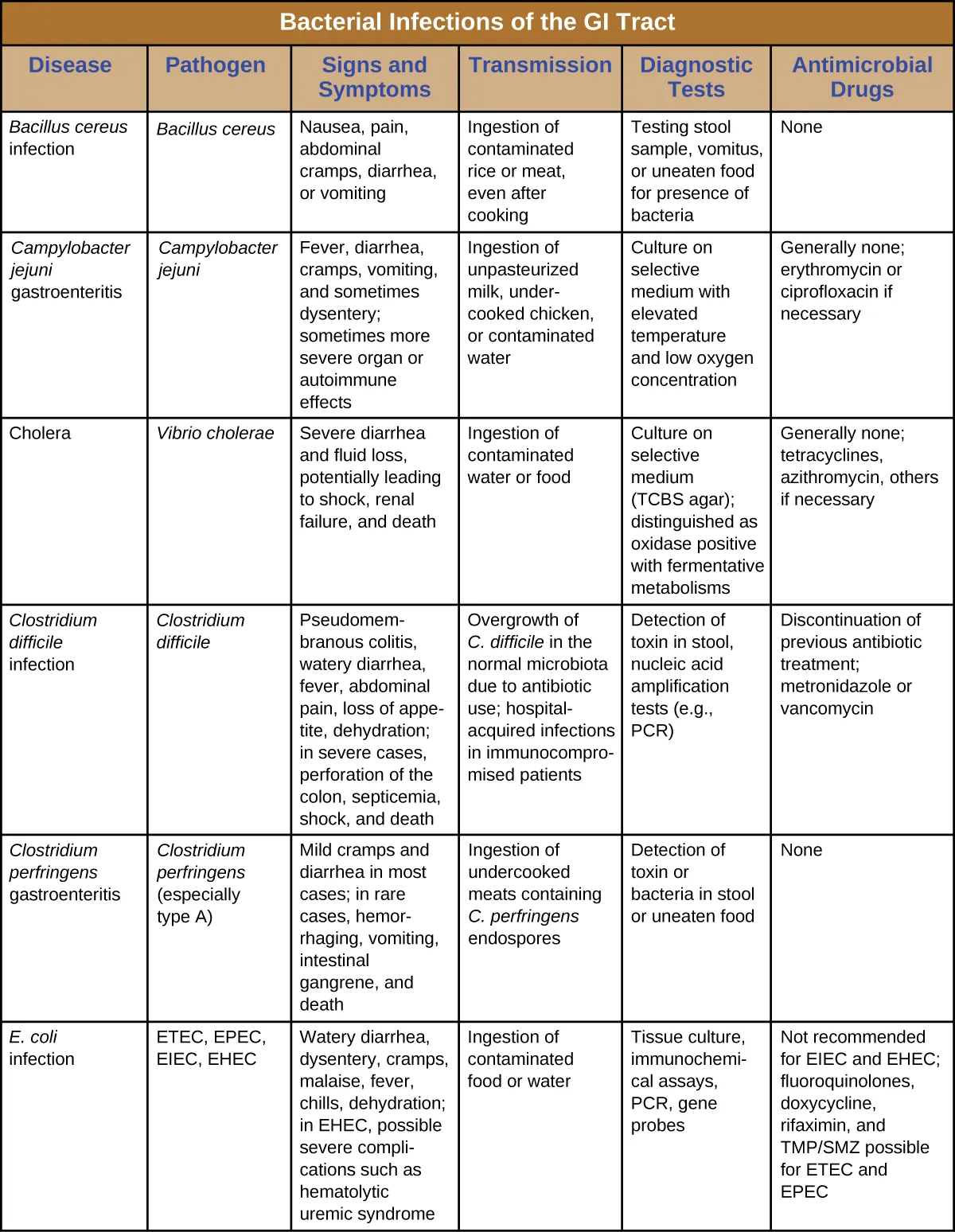 Table titled: Bacterial Infections of the GI Tract. Columns: Disease, Pathogen, Signs and Symptoms, Transmission, Diagnostic Tests, Antimicrobial Drugs. Bacillus cereus infection, Bacillus cereus; Nausea, pain, abdominal cramps, diarrhea or vomiting ; Ingestion of contaminated rice or meat, even after cooking; Testing stool sample, vomitus, or uneaten food for presence of bacteria; None. Campylobacter jejuni gastroenteritis; Campylobacter jejuni; Fever, diarrhea, cramps, vomiting, and sometimes dysentery; sometimes more severe organ or autoimmune effects; Ingestion of unpasteurized milk, undercooked chicken, or contaminated water; Culture on selective medium with elevated temperature and low oxygen concentration; Generally none; erythromycin or ciprofloxacin if necessary. Cholera; Vibrio cholera; Severe diarrhea and fluid loss, potentially leading to shock, renal failure, and death; Ingestion of contaminated water or food; Culture on selective medium (TCBS agar); distinguished as oxidase positive with fermentative metabolisms; Generally none; tetracyclines, azithromycin, others if necessary. Clostridioides difficile infection; Clostridioides difficile; Pseudomembranous colitis, watery diarrhea, fever, abdominal pain, loss of appetite, dehydration; in severe cases, perforation of the colon, septicemia, shock, and death; Overgrowth of C. difficile in the normal microbiota due to antibiotic use; hospital-acquired infections in immunocompromised patients; Detection of toxin in stool, nucleic acid amplification tests (e.g., PCR); Discontinuation of previous antibiotic treatment; metronidazole or vancomycin. Clostridium perfringens gastroenteritis; Clostridium perfringens (especially type A); Mild cramps and diarrhea in most cases; in rare cases, hemorrhaging, vomiting, intestinal gangrene, and death; Ingestion of undercooked meats containing C. perfringens endospores; Detection of toxin or bacteria in stool or uneaten food; None. E. coli infection; ETEC, EPEC, EIEC, EHEC ; Watery diarrhea, dysentery, cramps, malaise, fever, chills, dehydration; in EHEC, possible severe complications such as hematolytic uremic syndrome; Ingestion of contaminated food or water; Tissue culture, immunochemical assays, PCR, gene probes; Not recommended for EIEC and EHEC; fluoroquinolones, doxycycline, rifaximin, and TMP/SMZ possible for ETEC and EPEC.