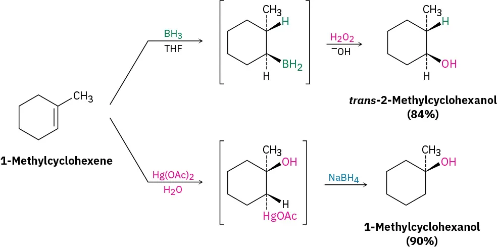 1-methylcyclohexene reacts with borane, hydrogen peroxide to form trans-2-methylcyclohexanol with 84 percent yield. Alternately, with mercuric acetate and water, then sodium borohydride to form 1-methylcyclohexanol with 90 percent yield.