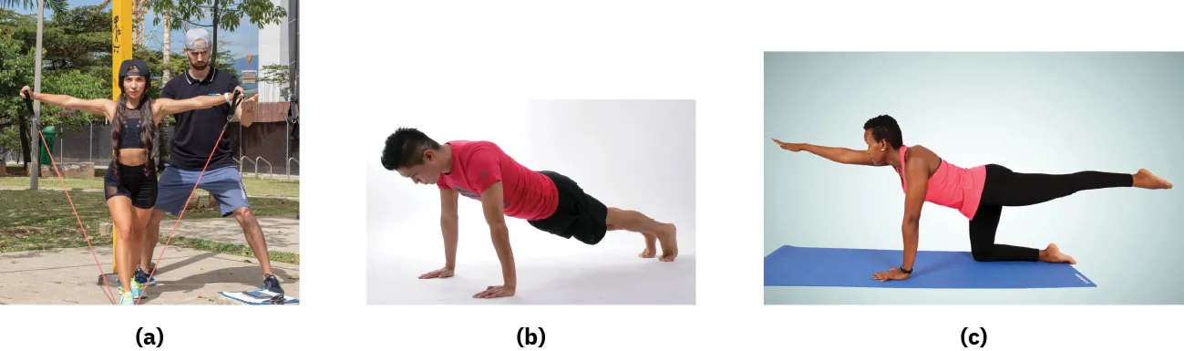 Photographs showing (a) person performing strength training with resistance bands, (b) person in plank pose, (c) person doing bird dog exercise