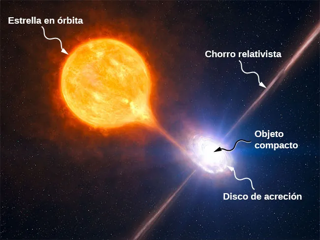 Ilustración de la acreción de una estrella en órbita por un objeto compacto. Se muestra una gran estrella cerca de un pequeño objeto compacto. Se muestra la materia luminosa que se desprende de la estrella y entra en una espiral, etiquetada como disco de acreción, que rodea el objeto compacto. Una línea brillante perpendicular al disco se extiende desde el centro del objeto compacto, por encima y por debajo, y se denomina chorro relativista.