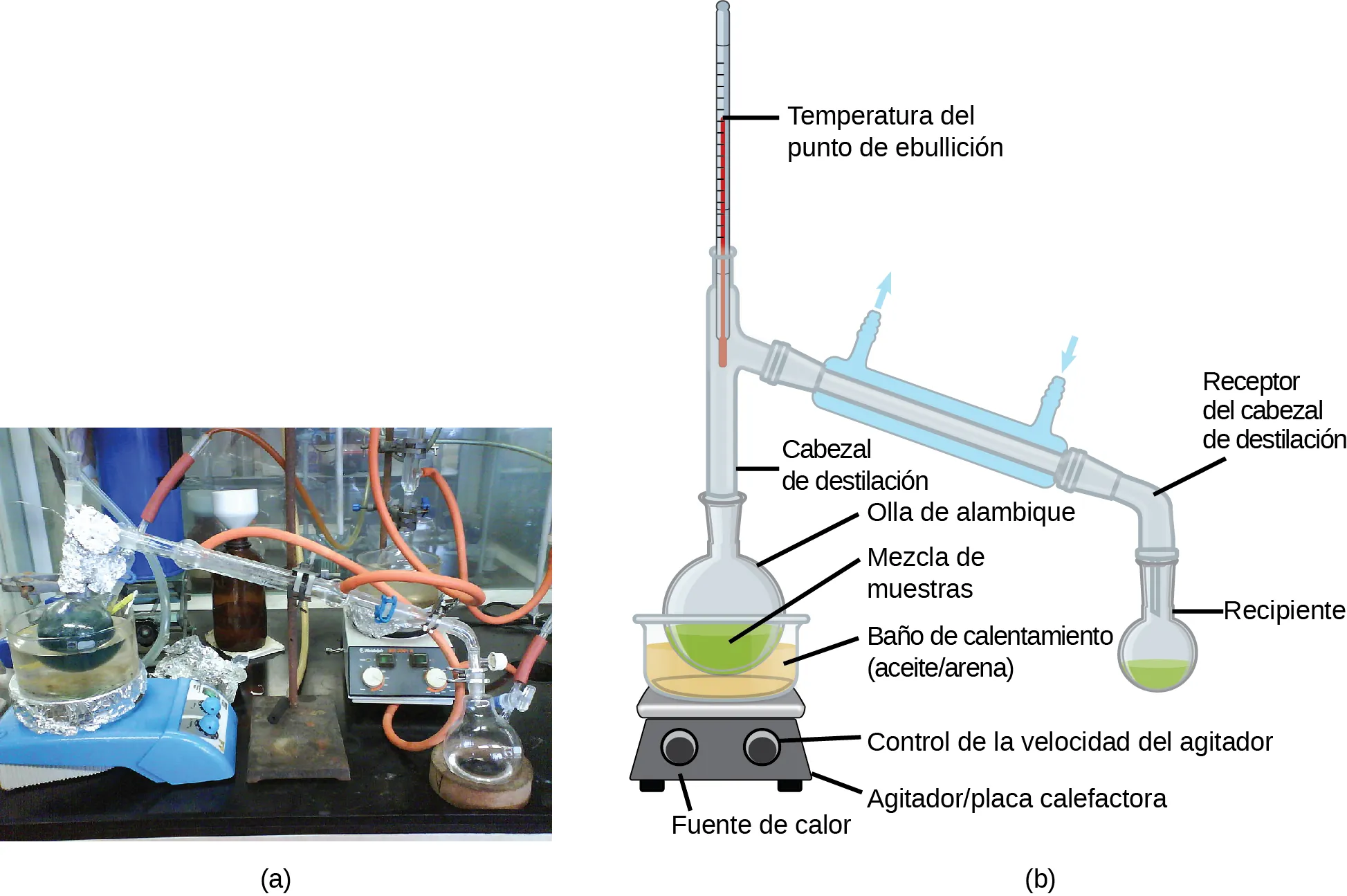 La figura a es una fotografía de una unidad de destilación común de laboratorio. La figura b proporciona un diagrama que marca los componentes típicos de una unidad de destilación de laboratorio, incluyendo un agitador/placa calefactora con control de calor y de velocidad del agitador, un baño de calentamiento de aceite o arena, medios de agitación tales como virutas de ebullición, un pote de destilación, un cabezal de destilación, un termómetro para leer de la temperatura del punto de ebullición, un condensador con entrada y salida de agua fría, un recipiente de destilación con una entrada de vacío o de gas, un matraz receptor para mantener el destilado y un baño de enfriamiento.