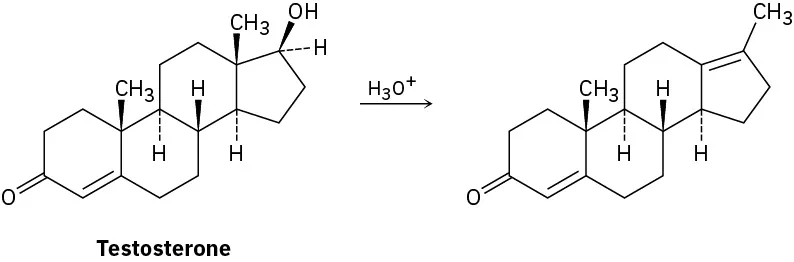 Testosterone reacts with hydronium ion to form a compound with alkene group.