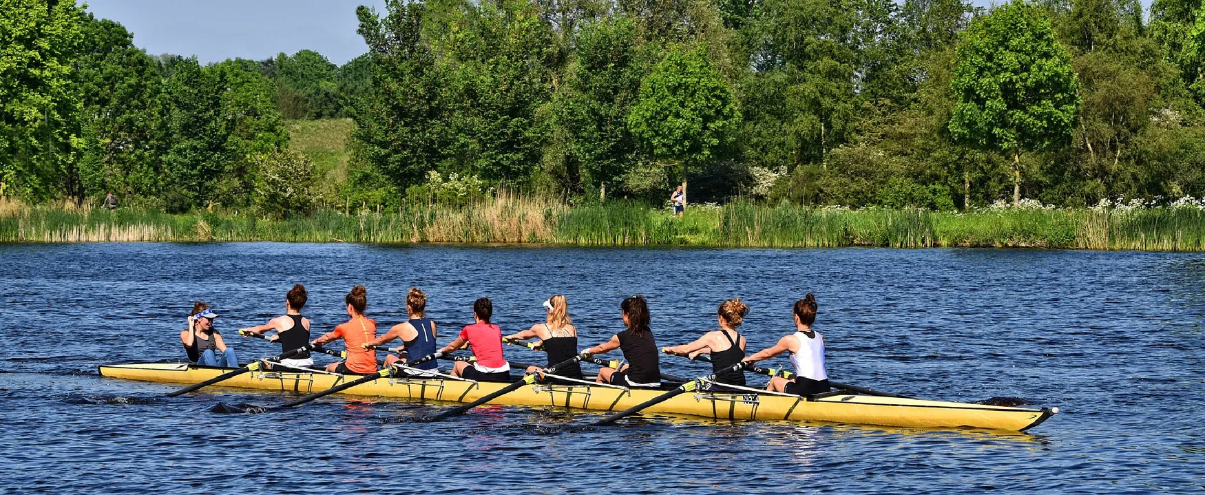 Eight women in a bright yellow rowing boat move in unison on a calm lake, surrounded by vibrant green foliage and tall reeds under a clear sky.