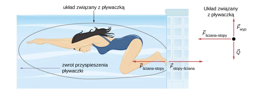 Na rysunku pokazano pływaczkę w basenie odpychającą się stopami od ściany basenu. Kierunek i zwrot przyspieszenia zaznaczono na rysunku. Siła F z odnośnikiem dolnym stopy-ściana działa w prawo, natomiast F odnośnikiem dolnym ściana-stopy w lewo. Pływaczkę zakreślono w elipsą, żeby pokazać, które z ciał jest istotne podczas naszej analizy. Jak widać, nie uwzględnia to ściany oraz siły F subscript stopy-ściana. Diagram ukazujący rozkład sił działających na pływaczkę ma wektor Q skierowany w dół (oznaczający siłę ciężkości), wektor siły wyporu F subscript wyporu, skierowanej w górę oraz wektor F subscript ściana-stopy skierowany w lewo, zgodnie z kierunkiem jej ruchu w basenie. 