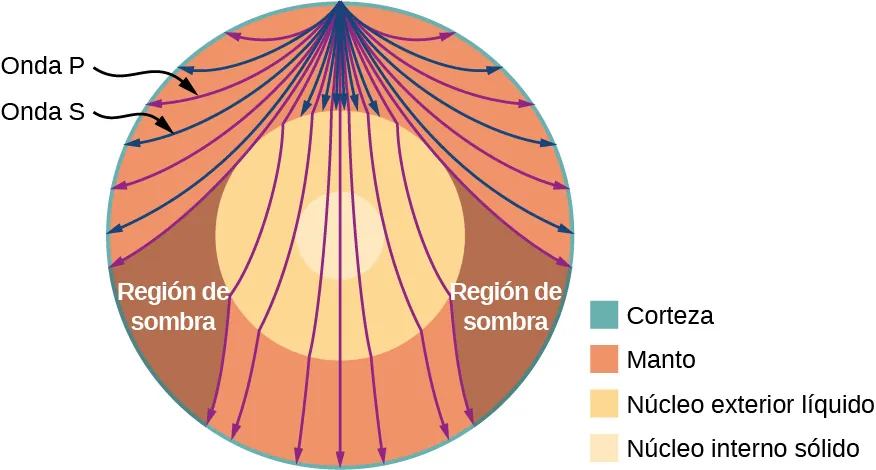 La imagen es un dibujo de ondas P y S que se desplazan desde una fuente. También se indican las regiones de sombra, donde las ondas S están ausentes. Hay un código de colores para la corteza, el manto, el núcleo externo líquido y el núcleo interno sólido.