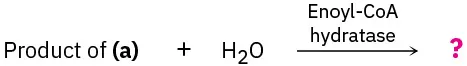 Product of (a) reacts with water in the presence of enoyl CoA hydratase to form an unknown product represented as a question mark.