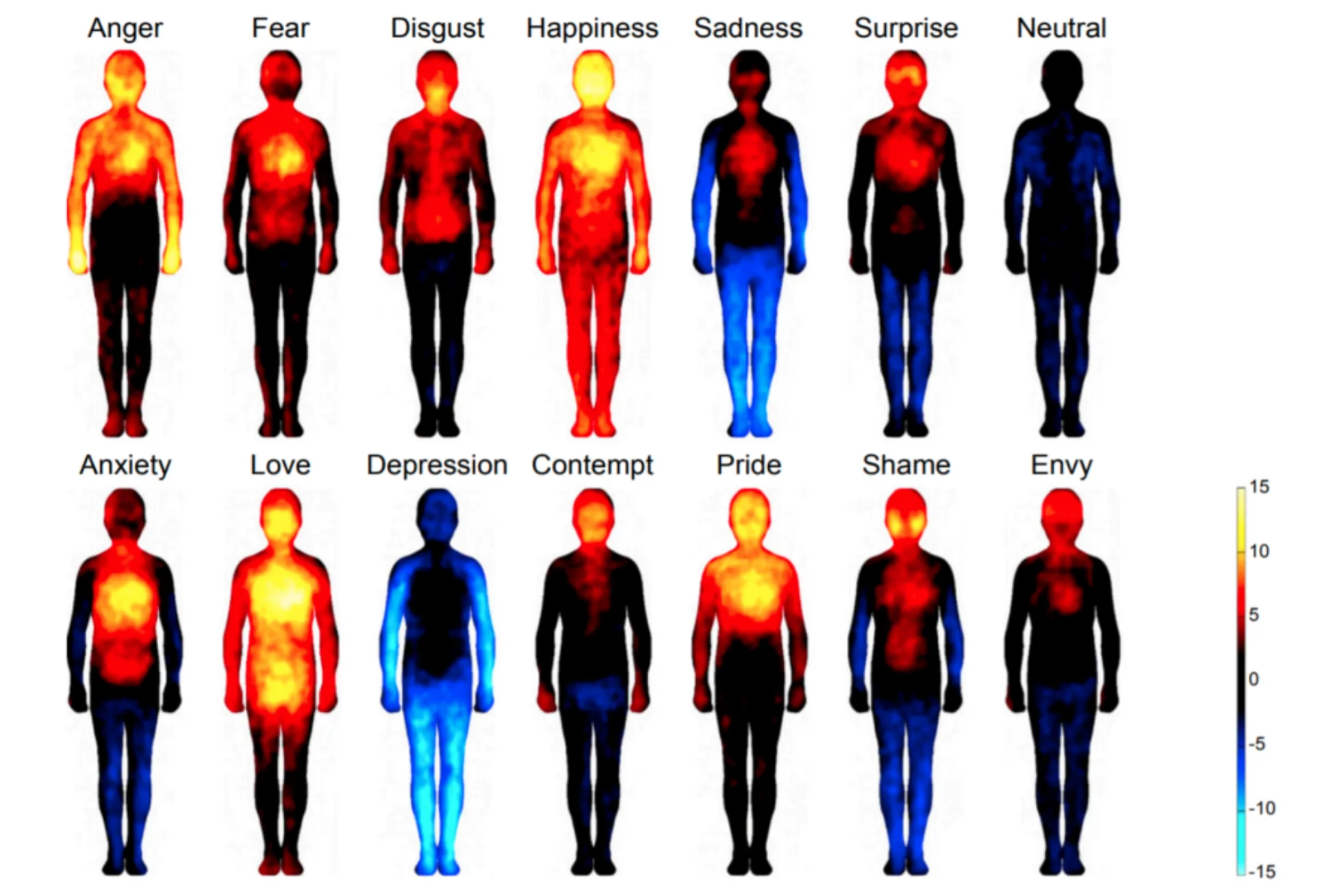 Body outlines with color coding to reveal blood flow concentrations in different regions, categorized according to emotion.