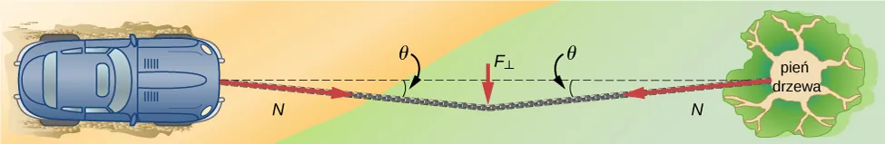 Rysunek pokazuje rzut z góry na samochód połączony linką holowniczą z pobliskim, dużym drzewem. Z każdej strony mocowania linka tworzy z prostą kąt theta. Strzałka oznaczona jako F prostopadłe odzwierciedla siłę przyłożoną prostopadle do liny, w jej geometrycznym środku. Siły skierowane wzdłuż linki holowniczej, odpowiednio od samochodu i drzewa, oznaczono jako N.