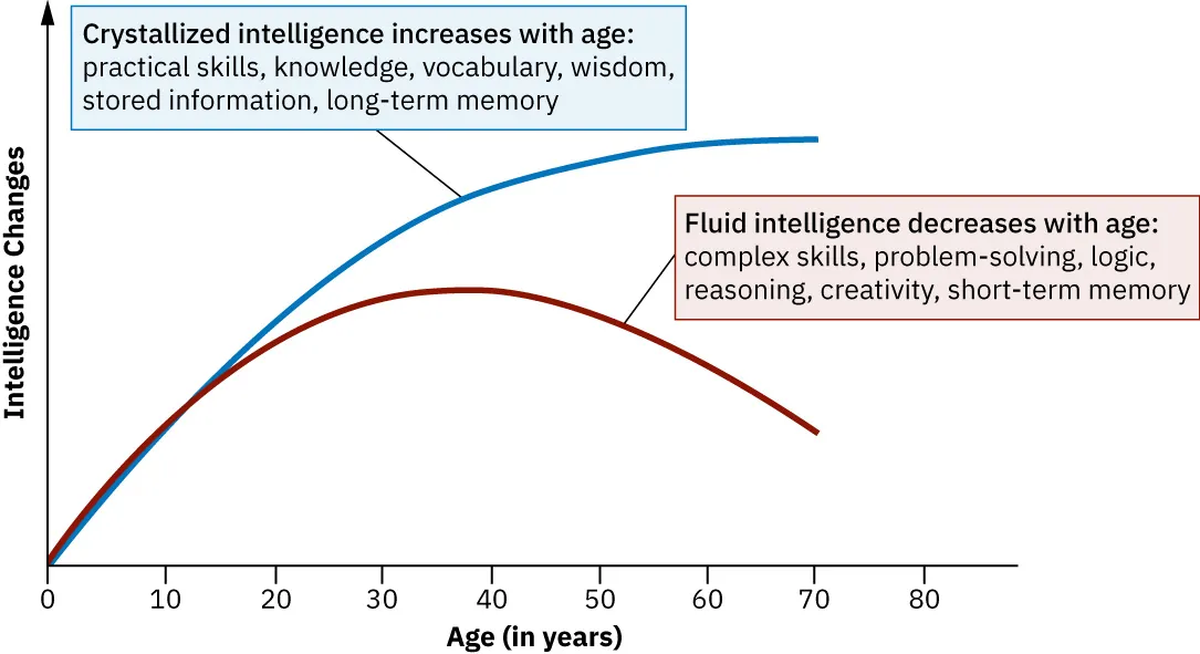 Graph displaying crystallized intelligence rising from infancy to old age, while fluid intelligence begins a decline after young adulthood.